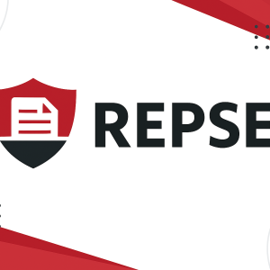 REPSE, Riesgos y Multas